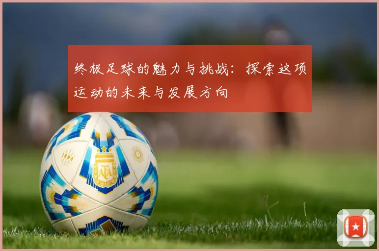 终极足球的魅力与挑战：探索这项运动的未来与发展方向